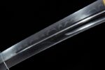 Premium Tanto blade close-up, showing drawing state and tang base details.