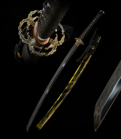 Toyama Dragon Sword overall display of blade, scabbard, handle, and all components separated for full structural understanding.