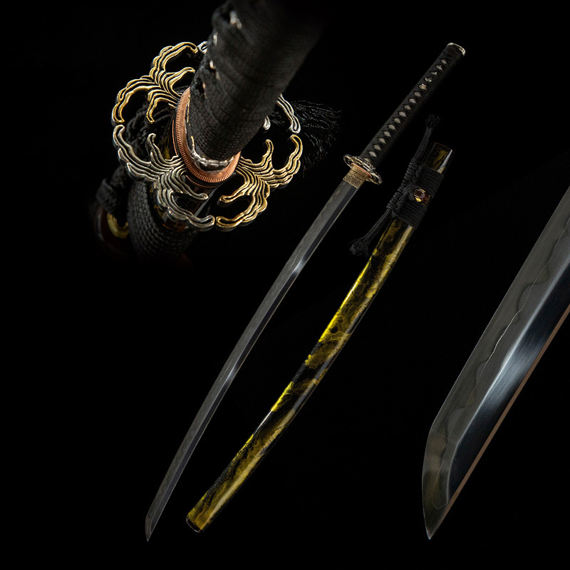 Toyama Dragon Sword overall display of blade, scabbard, handle, and all components separated for full structural understanding.