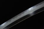 Battle of Shadows Wakizashi blade section, revealing polished steel mirror sheen