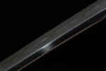 Toyama Dragon Sword blade partial view, dark sheen, showcasing the sword's grinding craftsmanship and lines
