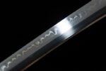 Little White Dragon Wakizashi blade metal sheen, reflecting the short sword's texture and brightness