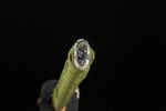 Auspicious Cloud Knife handle end close-up, showing its finishing design and material.