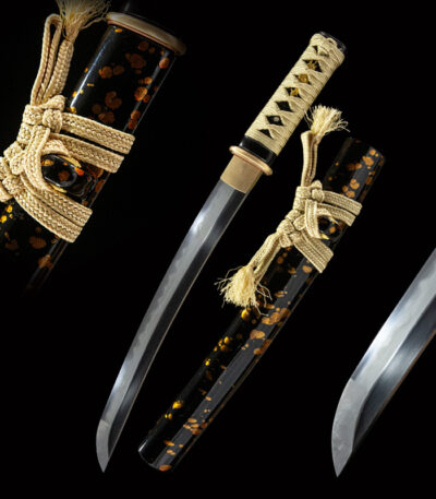Battle of Shadows Wakizashi components laid out, including blade, handle, scabbard, and details, showcasing overall aesthetics