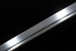Space Warrior blade mid-section detail, showing sleek lines and metallic texture.