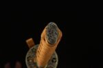 Golden Dragon Blade pommel top close-up, showcasing intricate carving and winding details