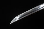 Warrior Soul blade close-up, emphasizing sharp edge line and blade tip curve