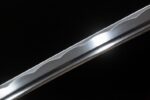 Warrior Soul blade section, revealing polished steel sheen and elegant wavy pattern
