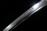 Demon Shadow Wakizashi blade section, revealing metallic luster and surface texture