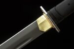 ring-pommel tang saber blade