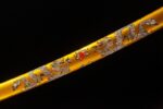 Double Dragon Sword scabbard section, vivid gold double dragon pattern on black base, enhancing artistic value.