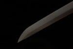 Shadow of the Blade tip