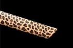 Wooden Embroidered Spring Knife scabbard tip (kojiri) close-up with leopard-print carved pattern, training samurai sword, wooden samurai sword