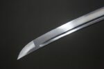 Green Devil's Sword tip detail