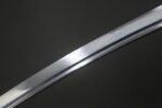 Green Devil’s Sword Polished Blade Surface