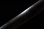 Beast King Sword scabbard, showing the black body and light reflections.